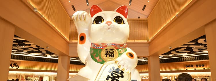 永旺夢樂城常滑