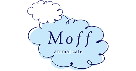 Moff animal cafe