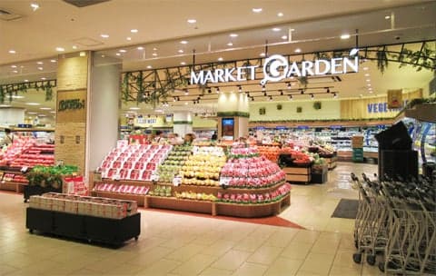 MARKET GARDEN KOHYO